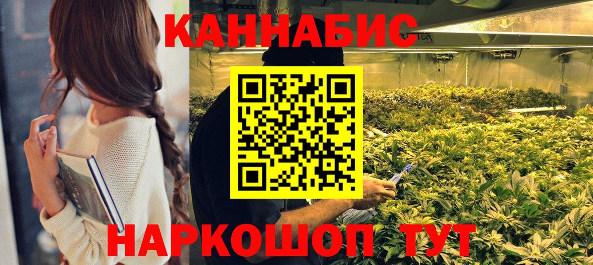 Конопля тримм  Вход с VPN  Конопля AK-47  Кудрово 